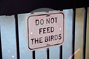 Do not feed the birds, white sign hanged on a black grid on a river walkaway