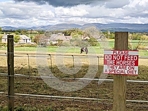 Do not feed the horses sign