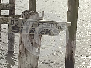 DO NOT FEED THE SHARKS