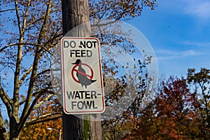 Do Not Feed Water-Fowl sign