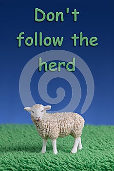 Do not follow the herd Sheep Text message