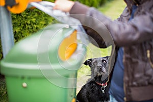 Fare non partire il tuo il cane!  