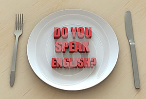 DO YOU SPEAK ENGLISH?, message on dish