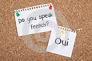 Do You Speak French photo
