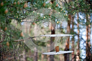 A do-it-yourself feeder hanging on a tree