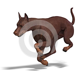 Doberman Dog. 3D rendering with clipping path and