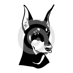 Doberman, dog, black and white vector illustration. Portrait. The head of a domestic animal. Tattoo. Clipart, laser