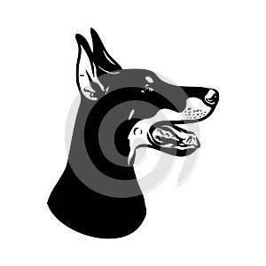 Doberman, dog, black and white vector illustration. Portrait. The head of a domestic animal. Tattoo. Clipart, laser