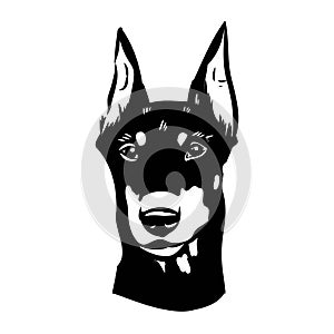 Doberman, dog, black and white vector illustration. Portrait. The head of a domestic animal. Tattoo. Clipart, laser