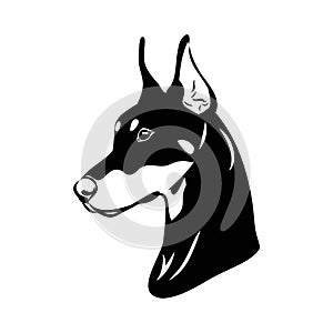 Doberman, dog, black and white vector illustration. Portrait. The head of a domestic animal. Tattoo. Clipart, laser