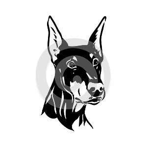 Doberman, dog, black and white vector illustration. Portrait. The head of a domestic animal. Tattoo. Clipart, laser