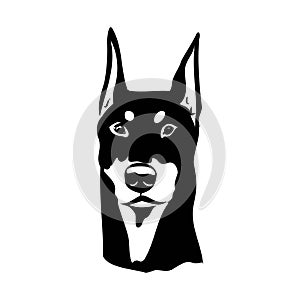 Doberman, dog, black and white vector illustration. Portrait. The head of a domestic animal. Tattoo. Clipart, laser