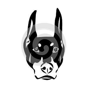 Doberman, dog, black and white vector illustration. Portrait. The head of a domestic animal. Tattoo. Clipart, laser