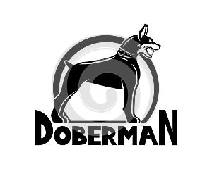 Doberman dog breed icon.