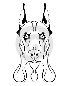 Doberman dog line art, tribal. Freehand vector illustration