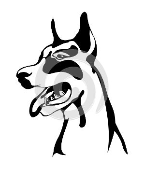 Doberman dog vector,Dog logo icon vector.Dog face vector