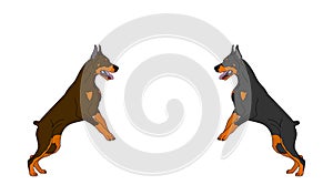 Doberman dogs jumping for logo, pets for design, dog show catalog, kennel logo vector illustration