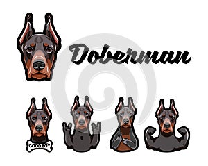 Doberman with gestures. Middle finger, Bone, Muscules, Rock. Vector illustration.