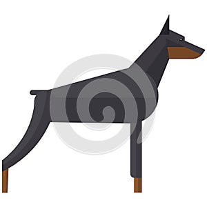 Doberman pinchers angry security dog vector illustration