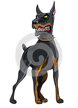 Doberman Pinscher Illustration