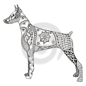 Doberman pinscher zentangle stylized, vector, illustration, free