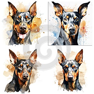 Doberman. Realistic watercolor dog illustration. Funny doggy drawing template.