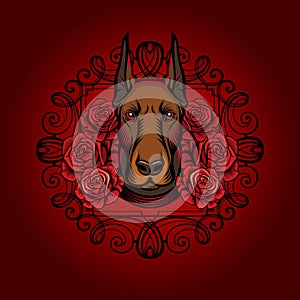 Doberman with red roses vector illustration. Dog head tattoo sketch