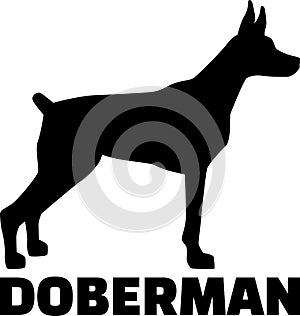 Doberman silhouette black