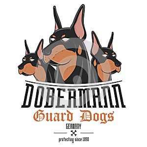 Dobermann dog vector illustration