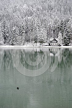 Dobiacco lake in Italy, Europe