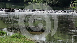 Dobra river - Croatia - waterfalls