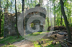 Dobra Voda castle ruins in woods, Slovakia