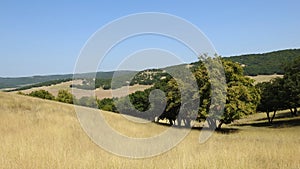 Dobrogea landscape