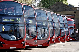 Dobule Decker Buses line up