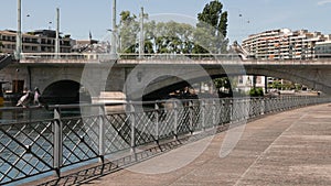 Dock barrier with pigeons