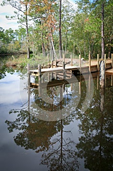 Dock on a Bayou