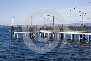 Dock in Bracciano - IT