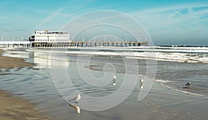 The dock at Daytona beach