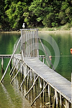 Dock with a door