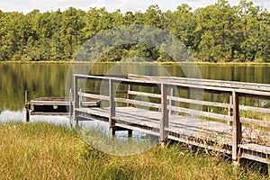 A dock on a Florida Lake