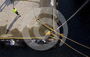 Dock labourer photo