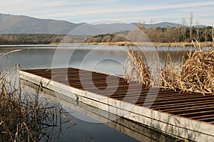 Dock in a lake