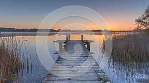 A dock leading into a lake with tall grasses and trees, AI