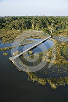 Dock over marsh. photo