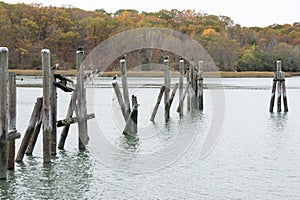 Dock pilings with Corcmorants perching