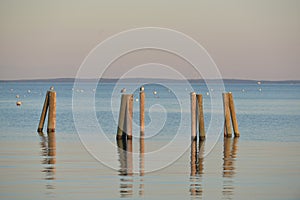 Dock pilings on Penobscot Bay inside the Rockland Breakwater and