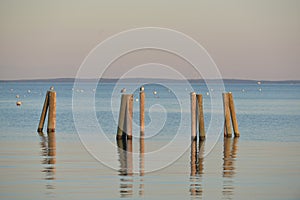 Dock pilings on Penobscot Bay inside the Rockland Breakwater and photo