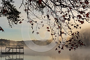 A dock surrounded by fog and framed by leaves on a winter morning at sunrise on Lake Lanier outside of Atlanta, Georgia, USA photo