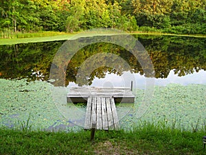 Dock on a Tranquil Pond photo