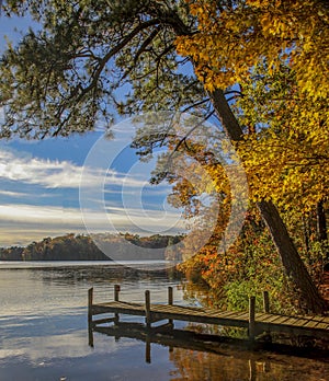 Dock by the lake photo